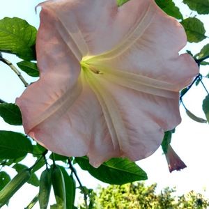 Meet your Posher, Liz